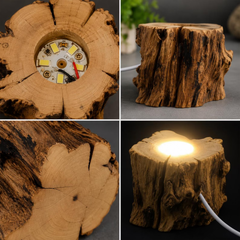 Rustic Tree Stump LED Light Base, USB Powered Illuminated Display Holder For Crystal Spheres And Decorative Ornaments